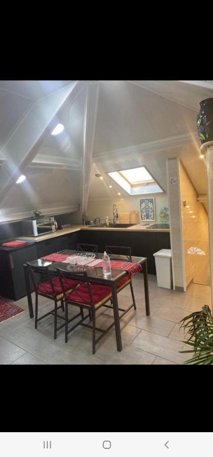 Appartement T Luxe ピエールフィット・シュル・セーヌ エクステリア 写真